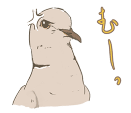 Collared dove from Saitama sticker #6642270