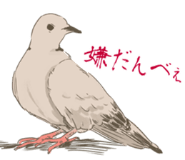 Collared dove from Saitama sticker #6642271