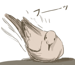 Collared dove from Saitama sticker #6642272