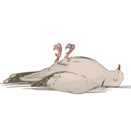 Collared dove from Saitama sticker #6642273