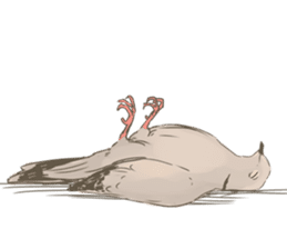 Collared dove from Saitama sticker #6642273