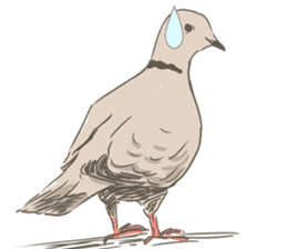 Collared dove from Saitama sticker #6642274