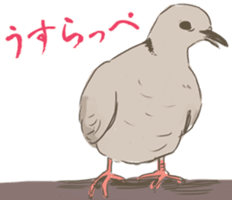 Collared dove from Saitama sticker #6642275