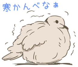 Collared dove from Saitama sticker #6642276