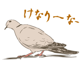 Collared dove from Saitama sticker #6642277