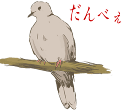 Collared dove from Saitama sticker #6642280