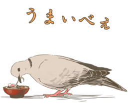 Collared dove from Saitama sticker #6642281