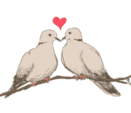 Collared dove from Saitama sticker #6642283