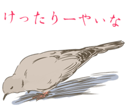 Collared dove from Saitama sticker #6642284