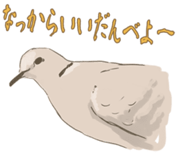 Collared dove from Saitama sticker #6642285