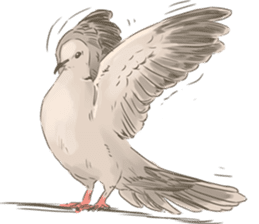 Collared dove from Saitama sticker #6642286