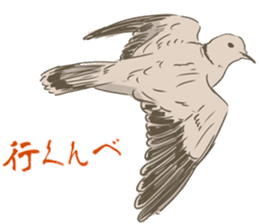 Collared dove from Saitama sticker #6642290