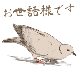 Collared dove from Saitama sticker #6642291