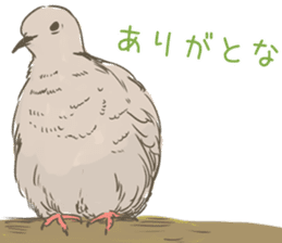 Collared dove from Saitama sticker #6642292
