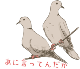 Collared dove from Saitama sticker #6642293