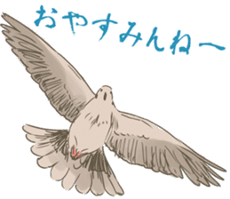 Collared dove from Saitama sticker #6642295