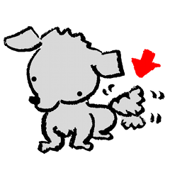 Rock the short-haired poodle