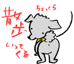 Rock the short-haired poodle sticker #6644744