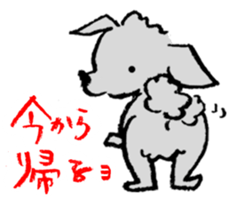 Rock the short-haired poodle sticker #6644748