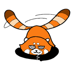 Red panda days 2(Japanese) sticker #6644956