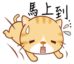 Little Kitten sticker #6645058