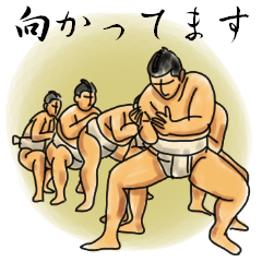 SUMO TIME