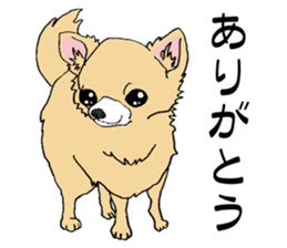 chihuahua and a few people sticker #6648656