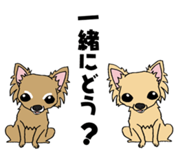 chihuahua and a few people sticker #6648668