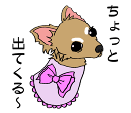 chihuahua and a few people sticker #6648669