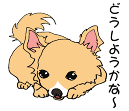 chihuahua and a few people sticker #6648681