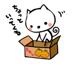 white cat&blac kcat sticker #6650544