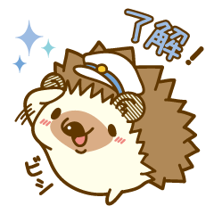 Harry's family summer vacation