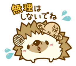 Harry's family summer vacation sticker #6653036