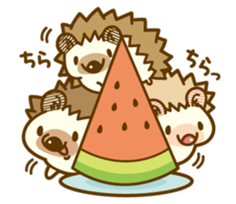 Harry's family summer vacation sticker #6653041