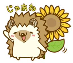 Harry's family summer vacation sticker #6653045