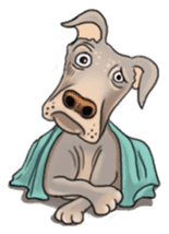 Cute Dog and Friends sticker #6653369