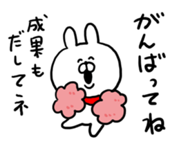 Chat Rabbit sticker #6657044