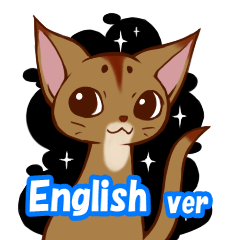 CAT-Abyssinian