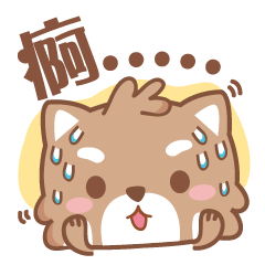 Raccoon w.c (Daily languages)