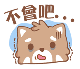 Raccoon w.c (Daily languages) sticker #6659850