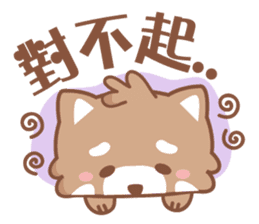 Raccoon w.c (Daily languages) sticker #6659853