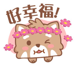 Raccoon w.c (Daily languages) sticker #6659857