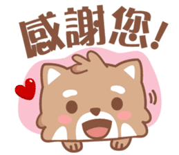 Raccoon w.c (Daily languages) sticker #6659862