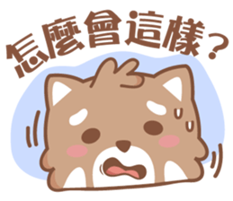 Raccoon w.c (Daily languages) sticker #6659866