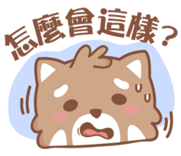 Raccoon w.c (Daily languages) sticker #6659866