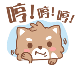 Raccoon w.c (Daily languages) sticker #6659869