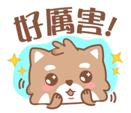 Raccoon w.c (Daily languages) sticker #6659871