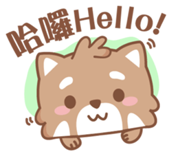 Raccoon w.c (Daily languages) sticker #6659872