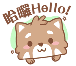 Raccoon w.c (Daily languages) sticker #6659872