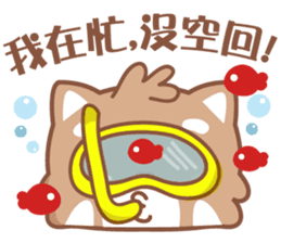 Raccoon w.c (Daily languages) sticker #6659873